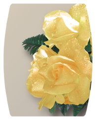 DAREC-069  Bouquet Of Roses Yellow